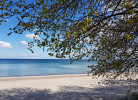 Meer