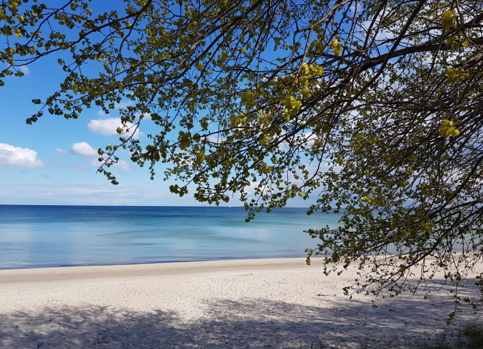 Meer