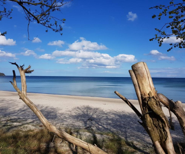 Meer